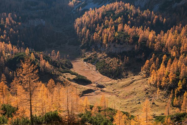 Le magasin de vélos à nancy : service, choix et qualité